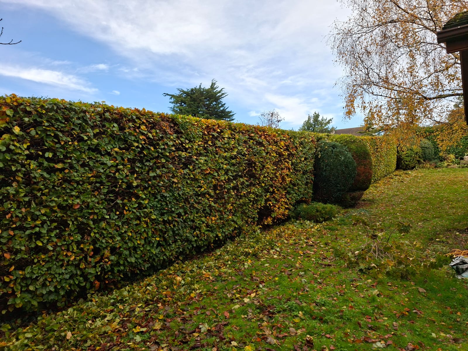 Garden Maintenance